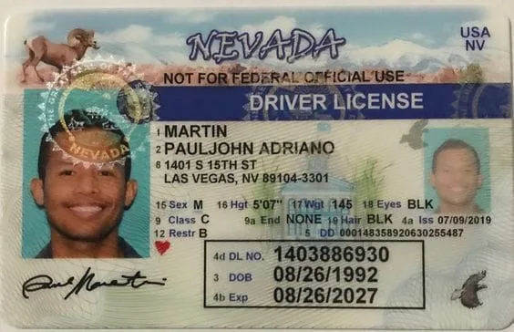 Comprar Noruega drivers de licença on-line