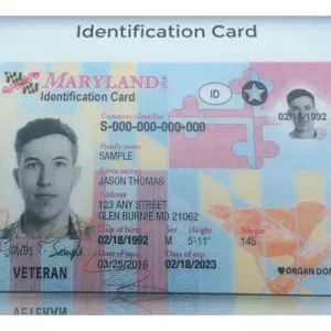 Buy Maryland Driver License and ID Card